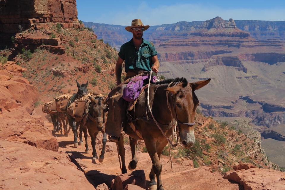 Best Western Grand Canyon _楊燕婷(1)期待已久的Hiking終於在今天達成-4